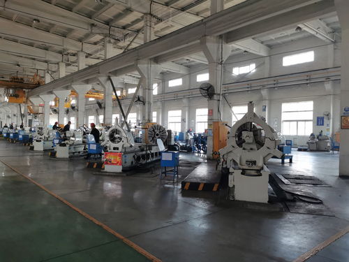 塞上江南新畫卷 育苗造林育“新苗” 高新企業(yè)為寧夏發(fā)展注入智能動能